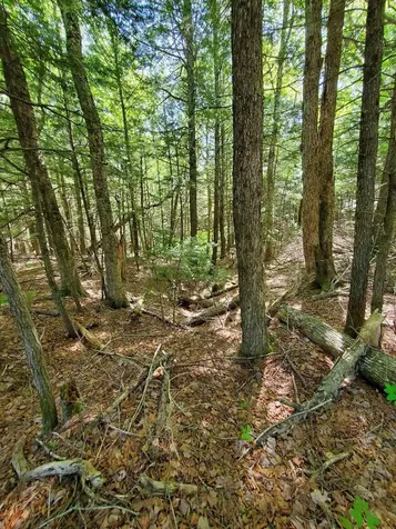 Lot 7 Heath Road Mariaville ME 04605