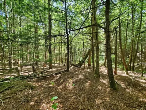 Lot 7 Heath Road Mariaville ME 04605