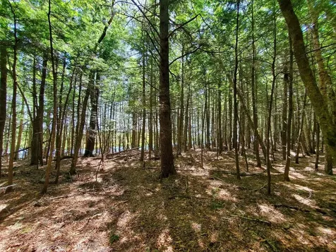 Lot 7 Heath Road Mariaville ME 04605