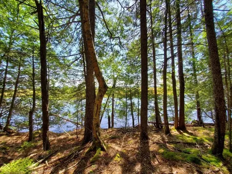 Lot 7 Heath Road Mariaville ME 04605