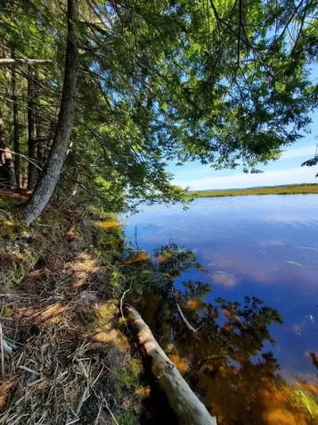 Lot 7 Heath Road Mariaville ME 04605