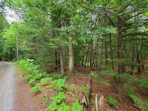 Lot 7 Heath Road Mariaville ME 04605