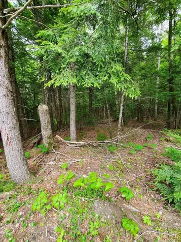 Lot 7 Heath Road Mariaville ME 04605