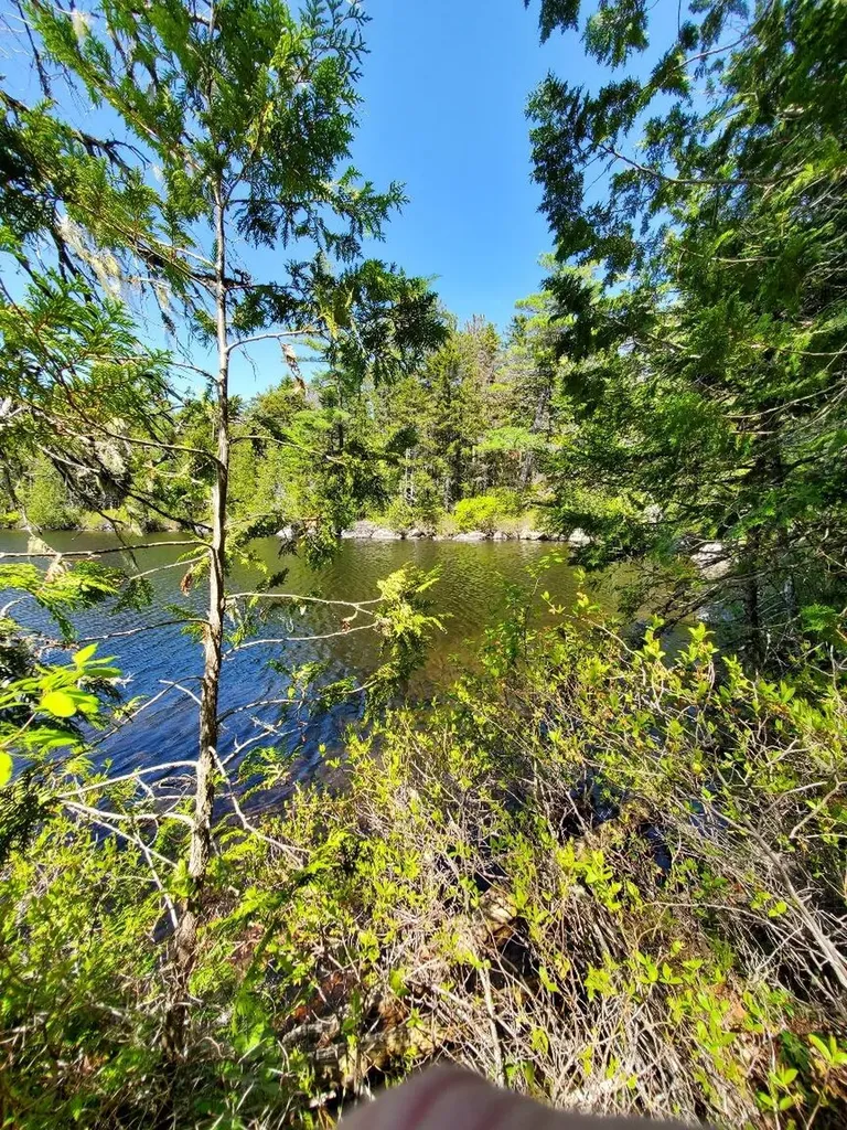 0 Spruce Mountain Lake Beddington ME 04622