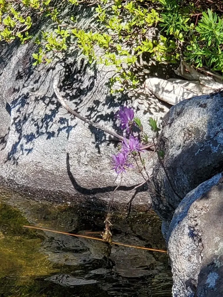 0 Spruce Mountain Lake Beddington ME 04622