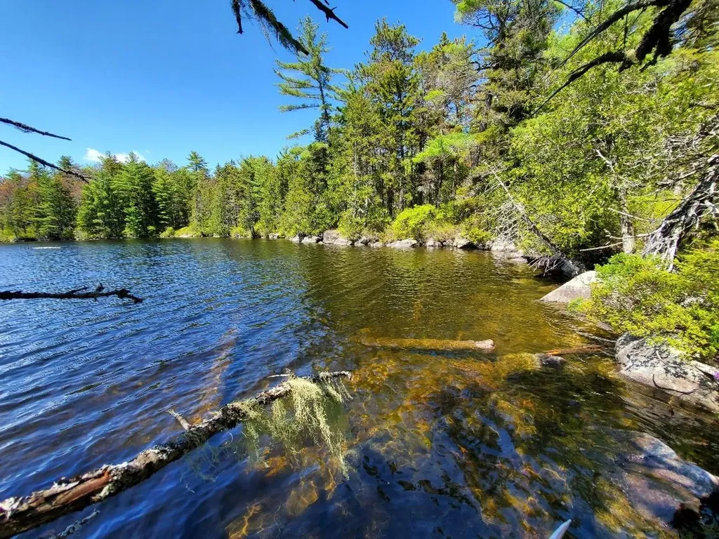 0 Spruce Mountain Lake Beddington ME 04622