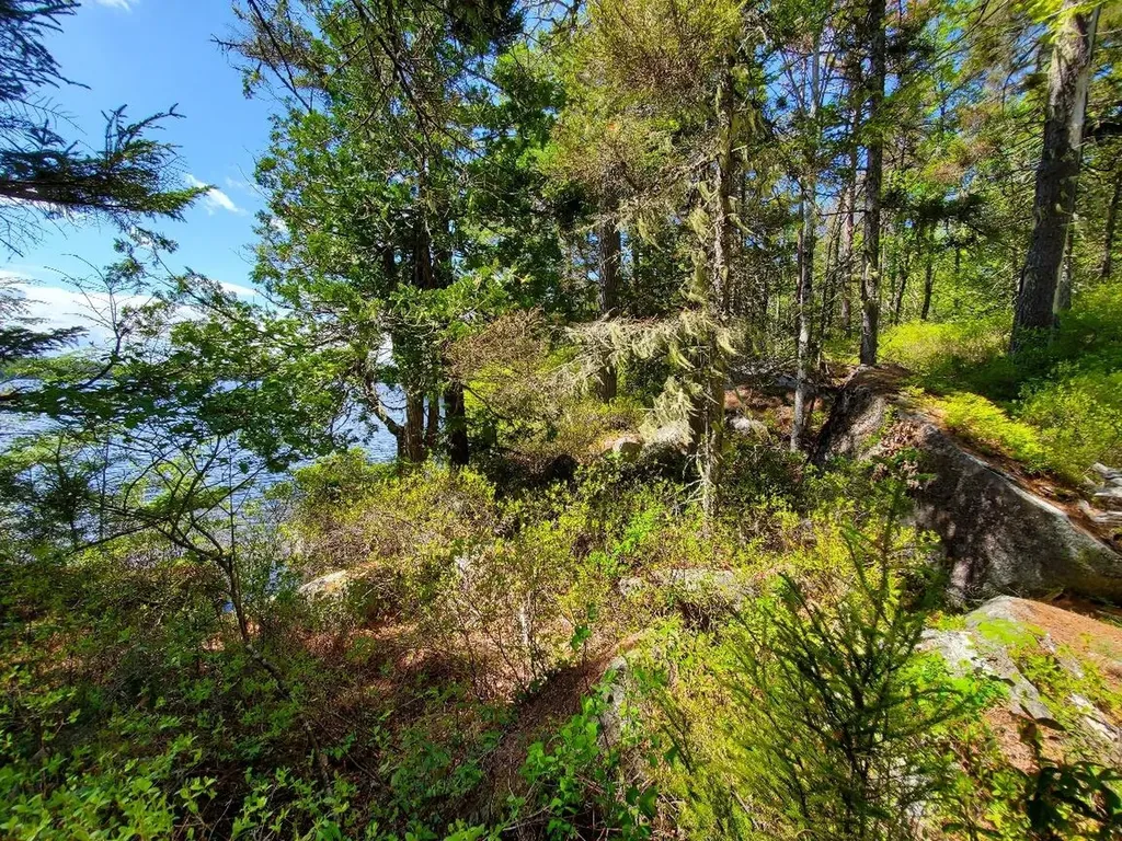 0 Spruce Mountain Lake Beddington ME 04622