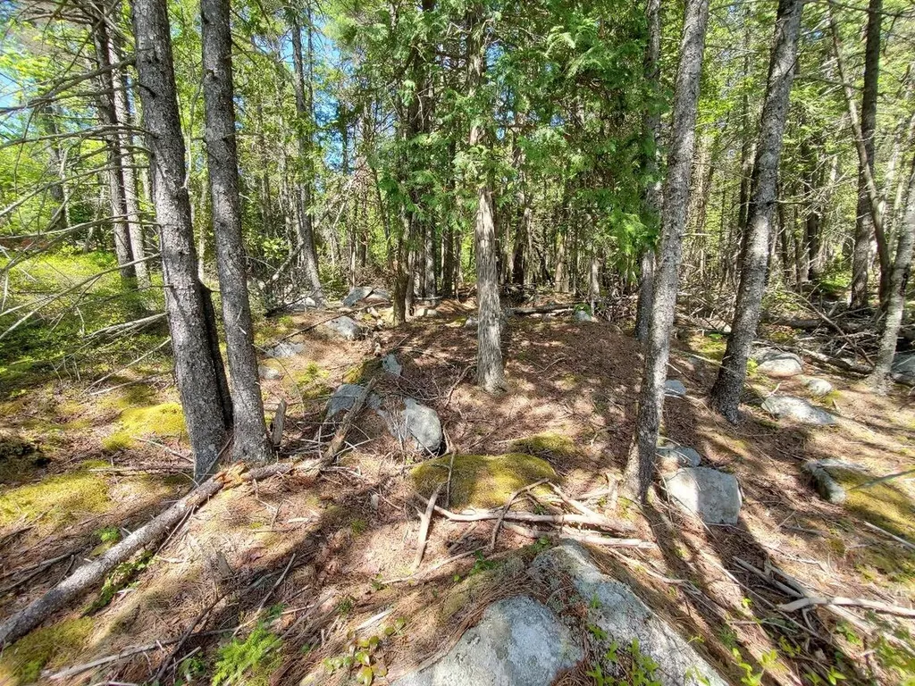 0 Spruce Mountain Lake Beddington ME 04622