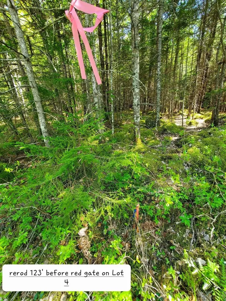 0 Spruce Mountain Lake Beddington ME 04622