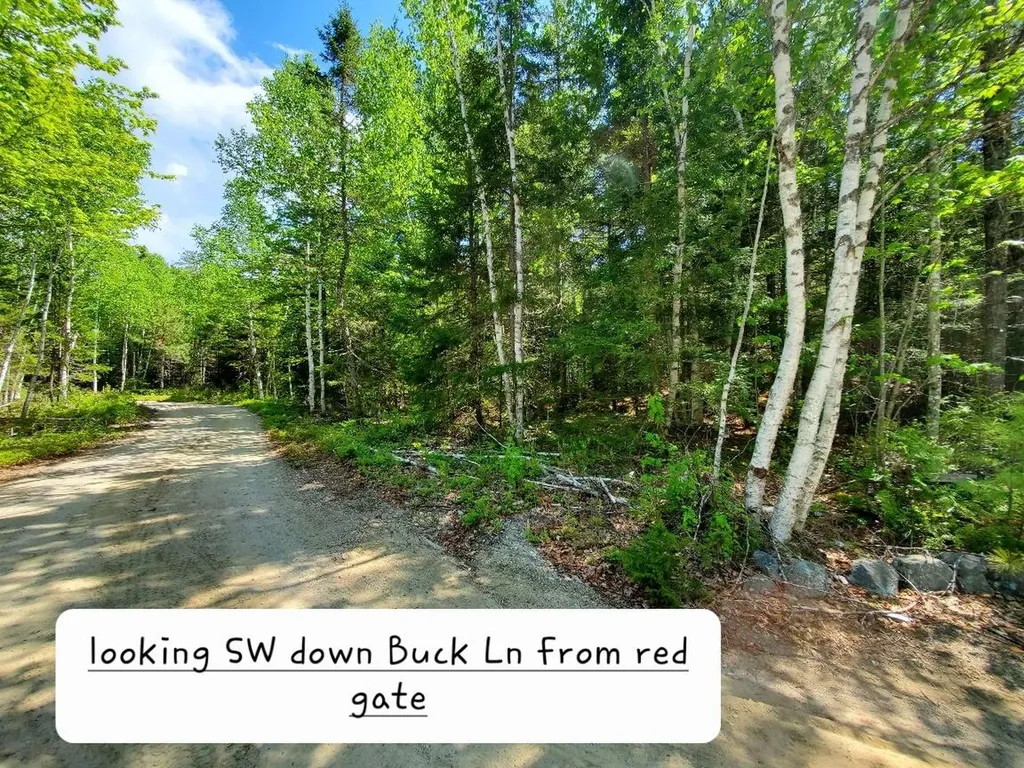 0 Spruce Mountain Lake Beddington ME 04622