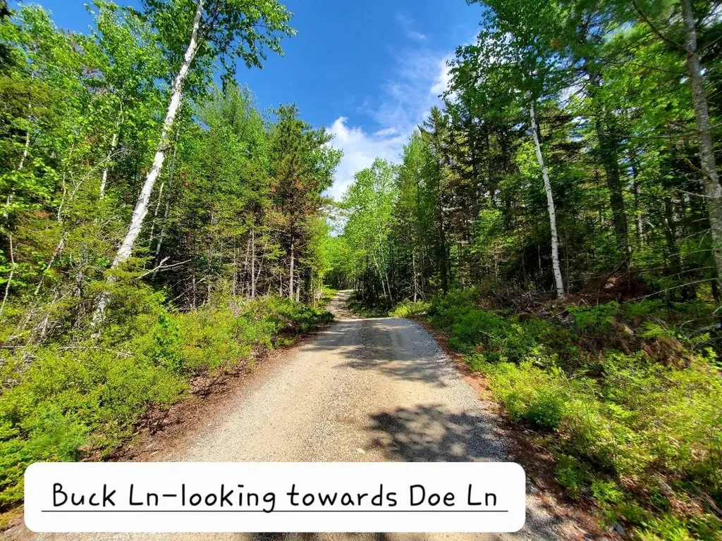 0 Spruce Mountain Lake Beddington ME 04622
