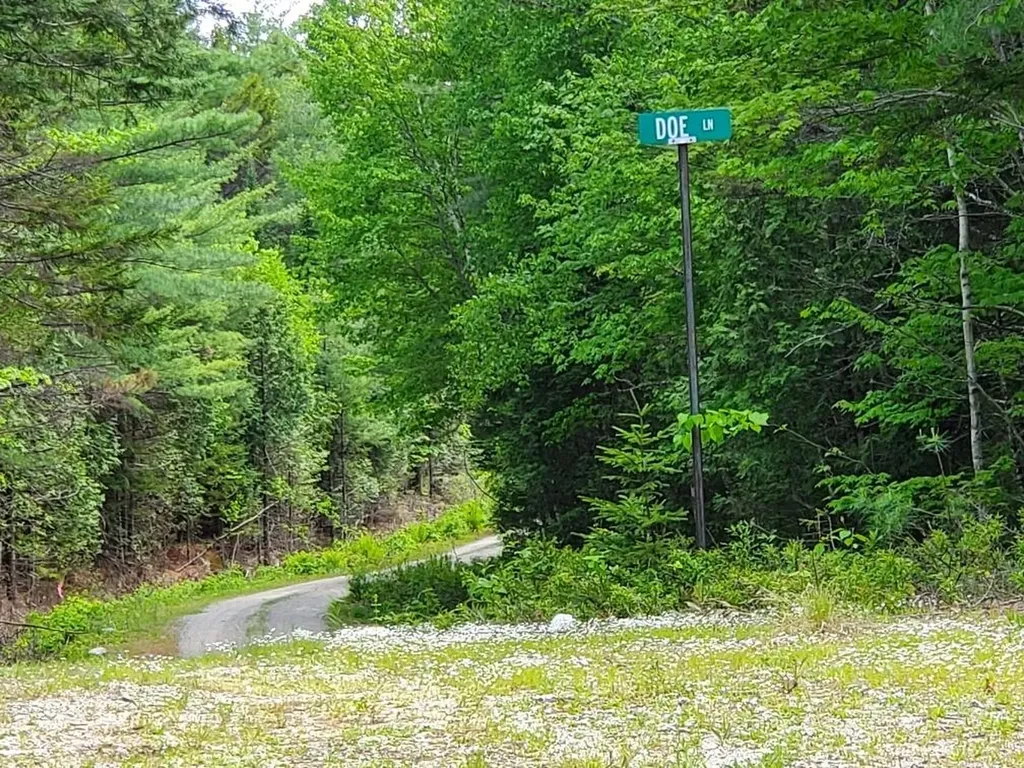 0 Spruce Mountain Lake Beddington ME 04622