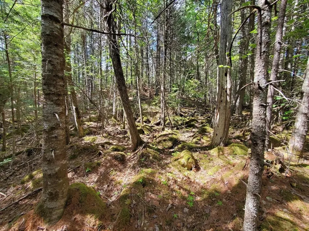 0 Spruce Mountain Lake Beddington ME 04622