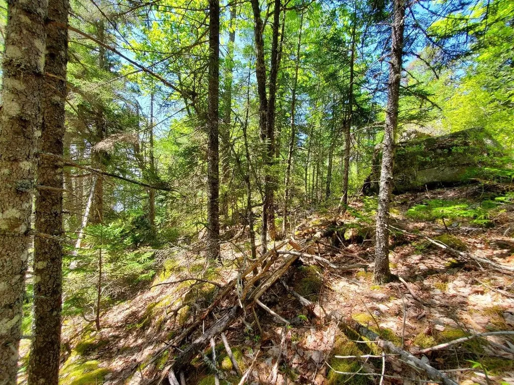 0 Spruce Mountain Lake Beddington ME 04622