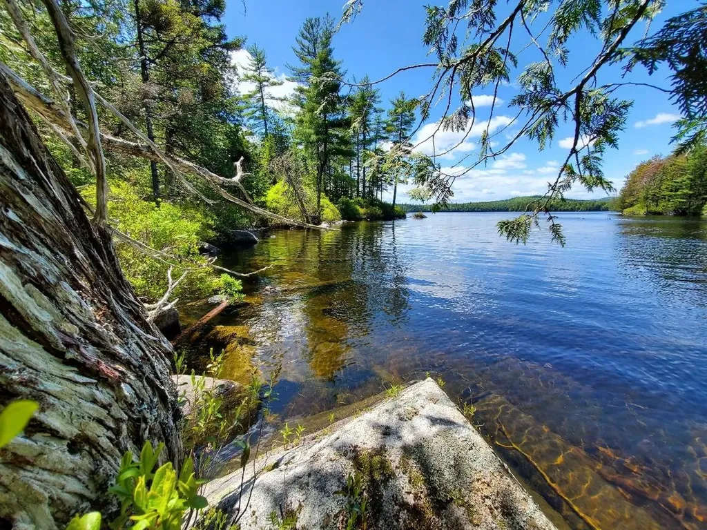 0 Spruce Mountain Lake Beddington ME 04622
