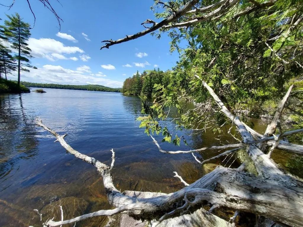 0 Spruce Mountain Lake Beddington ME 04622
