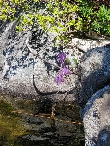 0 Spruce Mountain Lake Beddington ME 04622