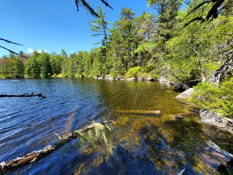0 Spruce Mountain Lake Beddington ME 04622