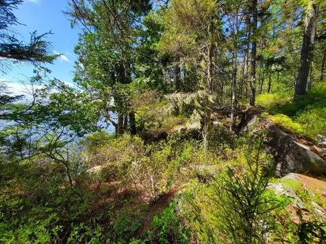 0 Spruce Mountain Lake Beddington ME 04622