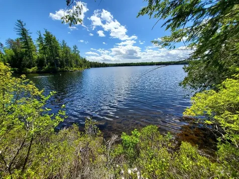 0 Spruce Mountain Lake Beddington ME 04622