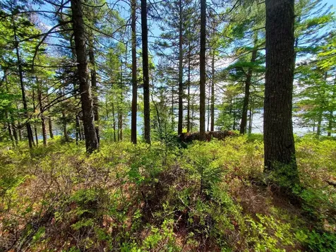 0 Spruce Mountain Lake Beddington ME 04622