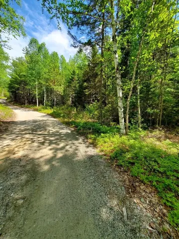 0 Spruce Mountain Lake Beddington ME 04622