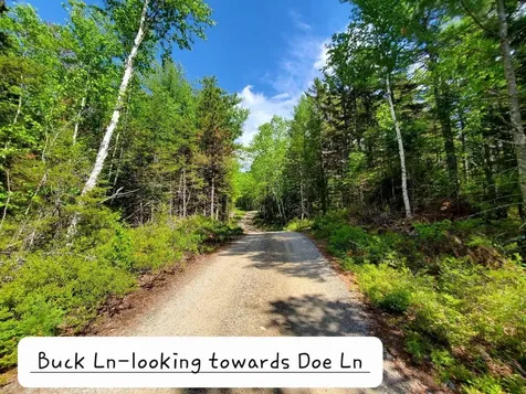 0 Spruce Mountain Lake Beddington ME 04622