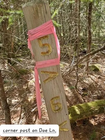 0 Spruce Mountain Lake Beddington ME 04622