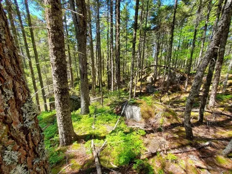 0 Spruce Mountain Lake Beddington ME 04622