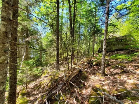 0 Spruce Mountain Lake Beddington ME 04622