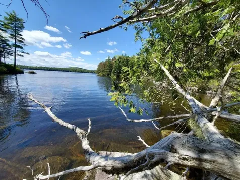 0 Spruce Mountain Lake Beddington ME 04622