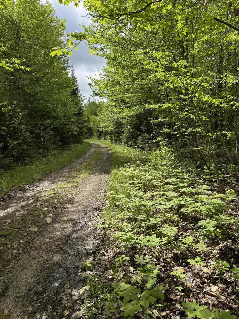 0 Off Dixie Road Unorganized Aroostook ME 04497