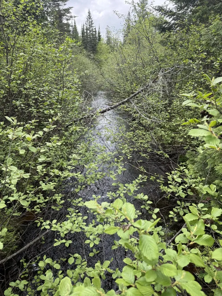 0 Off Dixie Road Unorganized Aroostook ME 04497
