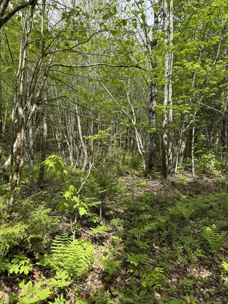 0 Off Dixie Road Unorganized Aroostook ME 04497