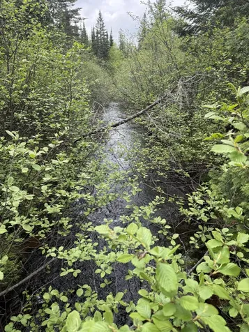 0 Off Dixie Road Unorganized Aroostook ME 04497