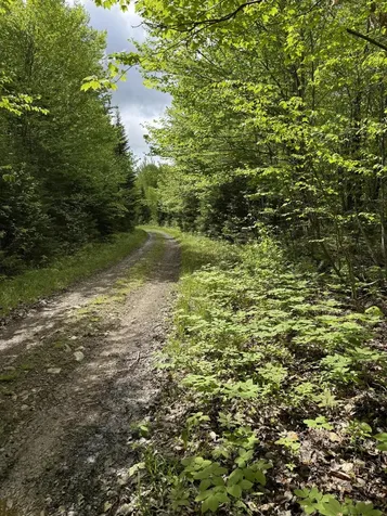 0 Off Dixie Road Unorganized Aroostook ME 04497