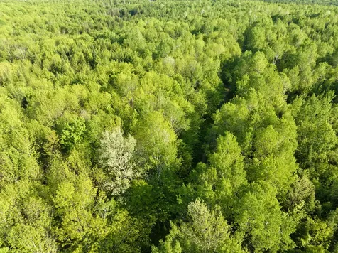 0 Off Dixie Road Unorganized Aroostook ME 04497