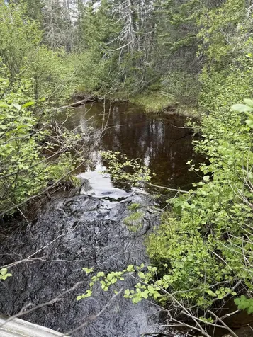 0 Off Dixie Road Unorganized Aroostook ME 04497