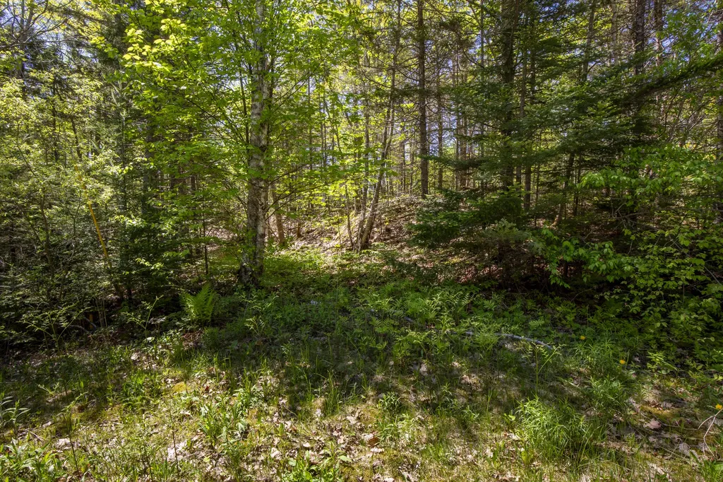 Lot 9 Boulder Hill Road Saint George ME 04860