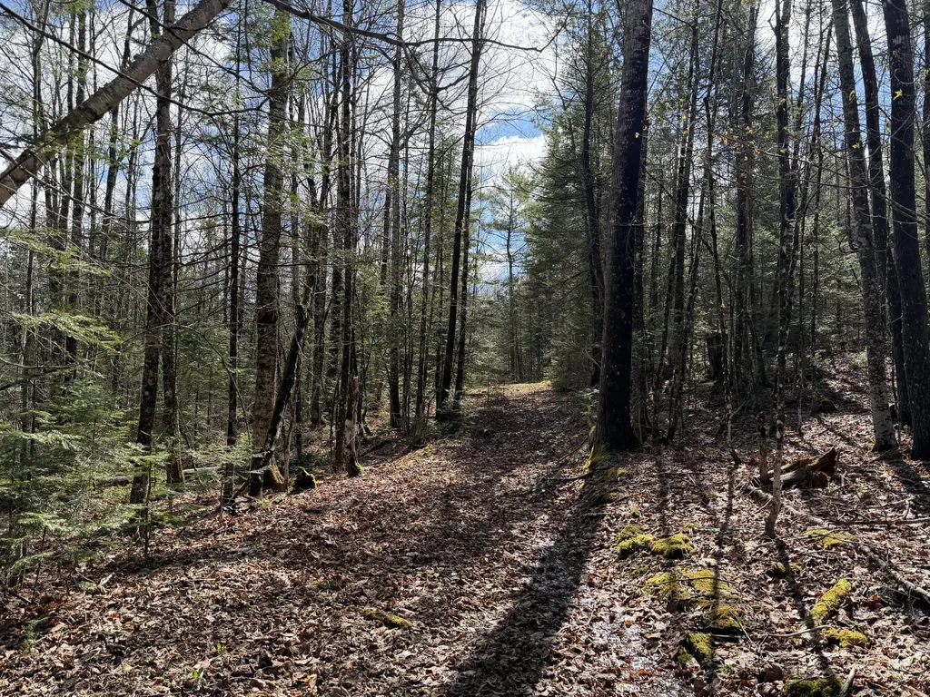 Sangerville ME 04479