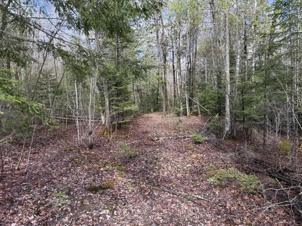 Sangerville ME 04479