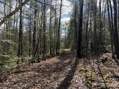 Sangerville ME 04479
