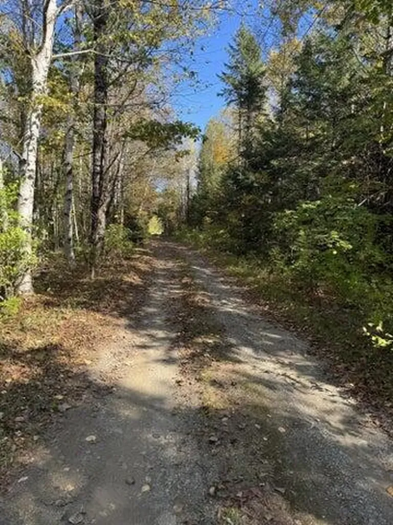 Lot 9-2 Lilly Drive Newport ME 04953