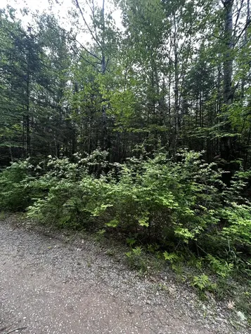 Lot 9-2 Lilly Drive Newport ME 04953