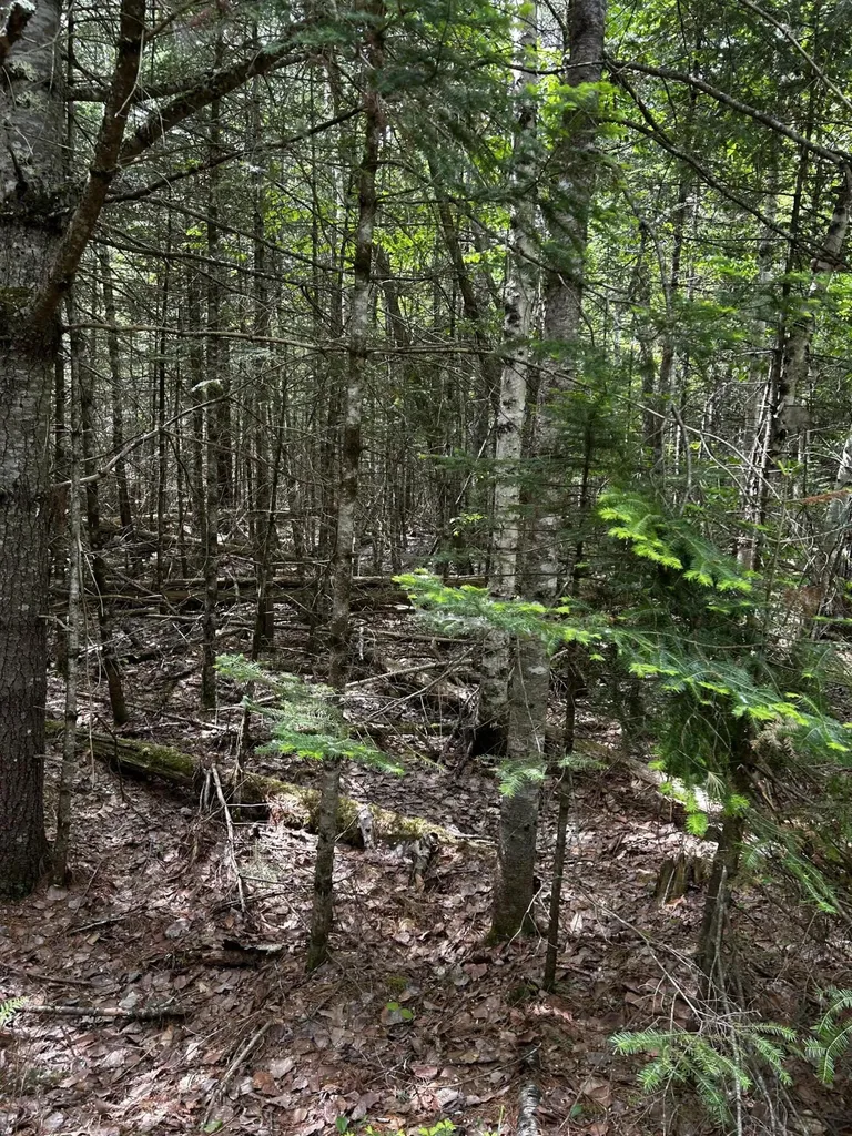 Lot 9-3 Lilly Drive Newport ME 04953