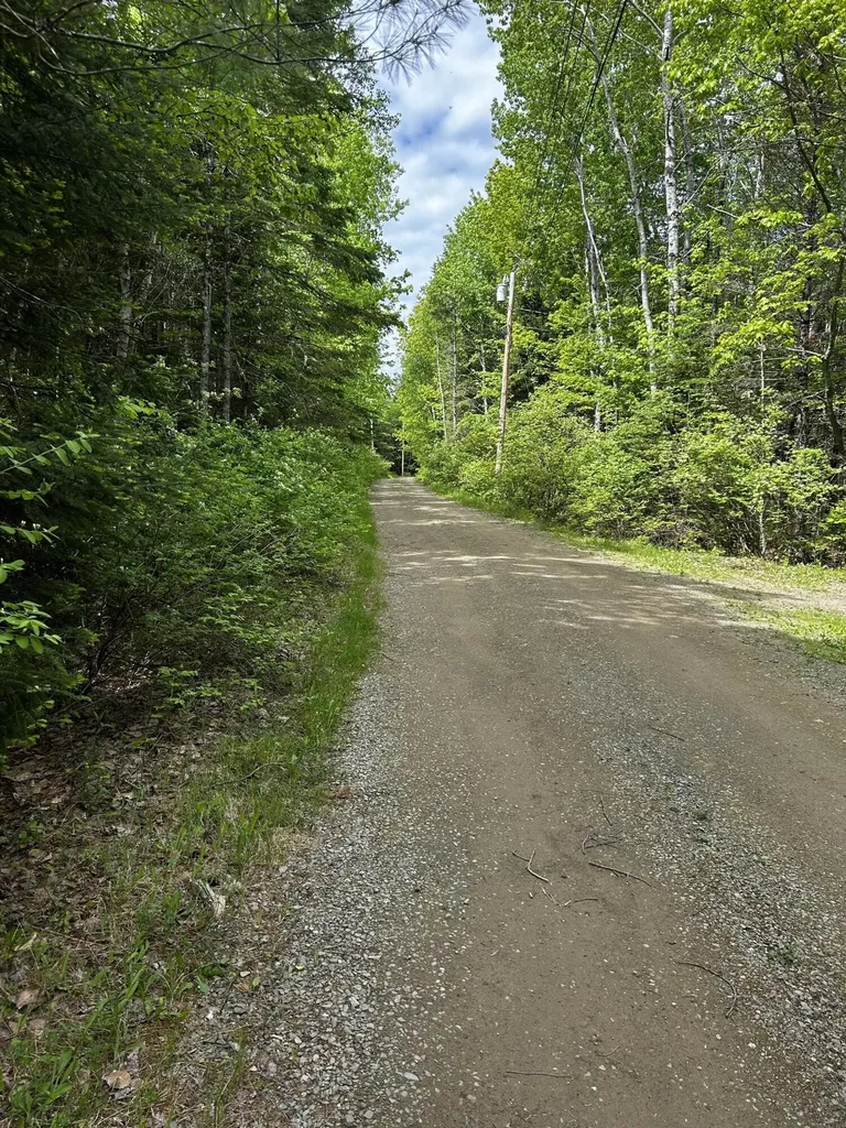 Lot 9-3 Lilly Drive Newport ME 04953