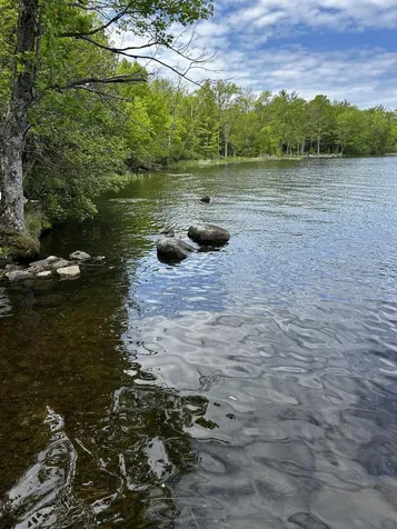 Lot 9-3 Lilly Drive Newport ME 04953