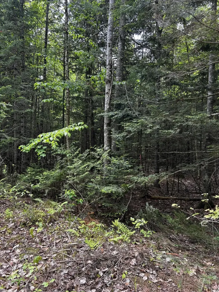 Lot 9-4 Lilly Drive Newport ME 04953