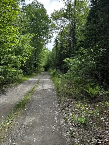 Lot 9-4 Lilly Drive Newport ME 04953