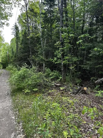 Lot 9-4 Lilly Drive Newport ME 04953